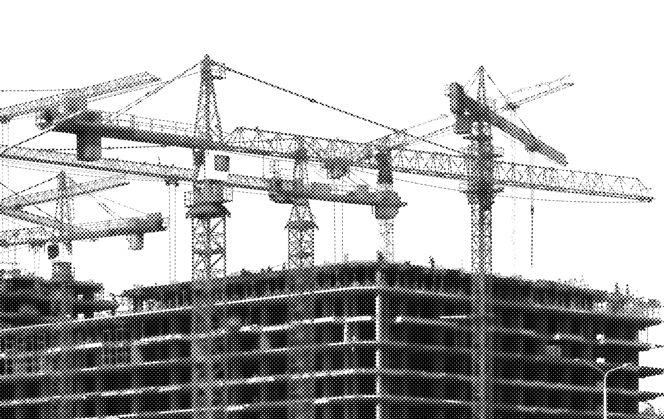 Black and white Cranes